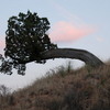 Palo Duro