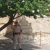 Policier à fort Alamo