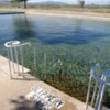 Balmorhea State Park : Piscine naturelle