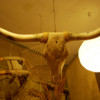 Long horn