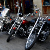 Harley